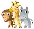 Cartoon zoo scene with zoo animals friends together in amusement park on white background with space for text illustration for Royalty Free Stock Photo