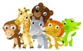 Cartoon zoo scene with zoo animals friends together in amusement park on white background with space for text illustration for Royalty Free Stock Photo