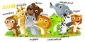 Cartoon zoo scene with zoo animals friends together in amusement park on white background with space for text illustration for Royalty Free Stock Photo