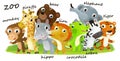 Cartoon zoo scene with zoo animals friends together in amusement park on white background with space for text illustration for Royalty Free Stock Photo