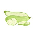 Composition with a zucchini. Vector illustration.