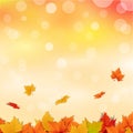 Beautiful Autumn Illustration Background. Thanksgiving Background