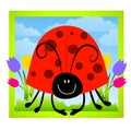 Cartoonish Ladybug Clip Art Royalty Free Stock Photo