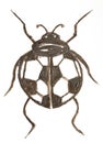 Cartoons sport soccer insect ladybird