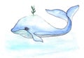 Cartoons watercolors cute whale with small book