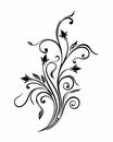 Cartouche nature floral Scroll design background