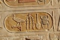 Cartouche on a temple wall.