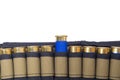 cartridge belt with blue ammunition, on white background Royalty Free Stock Photo