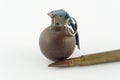 Cartridge and grenade Royalty Free Stock Photo