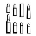 Cartridges of different calibers illustration.