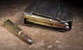 Cartridges and magazine for an old rifle chambered in 303 Royalty Free Stock Photo