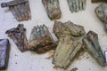 Cartridges of rusty bullet ammunition