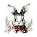 Cartton Rabbit at the christmas party on a white background