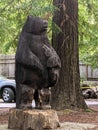 Carved Bear near the Humboldt Redwoods of California