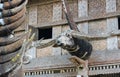 Carved buffalo head decoration on Tongkonan traditional house