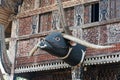 Carved buffalo head decoration on Tongkonan traditional house