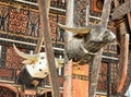 Carved buffalo head decoration on Tongkonan traditional house