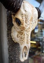 A carved buffalo head