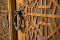 Carved door with door knocker Royalty Free Stock Photo