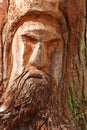 Carved face on tree trunk Royalty Free Stock Photo