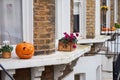 Carved halloween pumpkins displayed on the windowsills of terraced London town houses