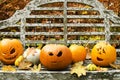 Group of Halloween Pumpkins on a Park Bench