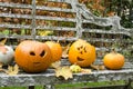 Group of Halloween Pumpkins on a Park Bench