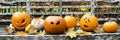 Group of Halloween Pumpkins on a Park Bench