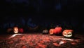 Carved halloween pumpkins in misty night forest