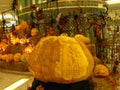 Carved Halloween Pumpkins