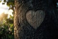 Carved heart shape on a tree trunk in a serene sunset setting Royalty Free Stock Photo