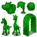 Carved from leafy bushes animals and gates. Vector