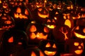 Carved Lighted Pumpkins