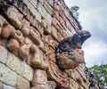 Carved Macaw in the Ball Court of Mayan Ruins - Copan Archaeological Site, Honduras