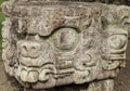 Carved Mayan animal head, Copan, Honduras