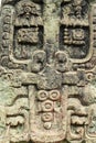 Carved Mayan stella, Copan ruins, Honduras Royalty Free Stock Photo