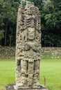 Carved Mayan stella, Copan ruins, Honduras Royalty Free Stock Photo