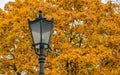 Carved metal street light on the background of autumn golden maple trees in Kolomenskoye park at warm autumn day, Moscow city Royalty Free Stock Photo