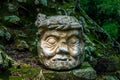 Carved old man head at Mayan Ruins - Copan Archaeological Site, Honduras Royalty Free Stock Photo
