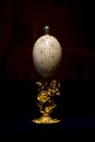 Carved ostrich egg shell, beautiful as a souvenir on black background.