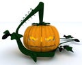Carved pumpkin Jacko Lantern Royalty Free Stock Photo
