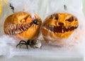 Carved pumpkin with a scary smile, spiders, white cobweb background, decoration and holiday concept, carved pumpkin for a fun