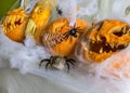 Carved pumpkin with a scary smile, spiders, white cobweb background, decoration and holiday concept, carved pumpkin for a fun