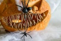 Carved pumpkin with a scary smile, spiders, white cobweb background, decoration and holiday concept, carved pumpkin for a fun