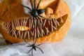 Carved pumpkin with a scary smile, spiders, white cobweb background, decoration and holiday concept, carved pumpkin for a fun