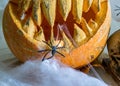 Carved pumpkin with a scary smile, spiders, white cobweb background, decoration and holiday concept, carved pumpkin for a fun