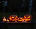 Carved pumpkins glowing by candlelight at night. Royalty Free Stock Photo