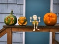 Carved Pumpkins on wooden fence rail