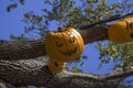 Carved pumpkins at Universal Studios Orlando Florida