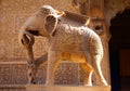 Carved sandstone elephant detail in havili Royalty Free Stock Photo